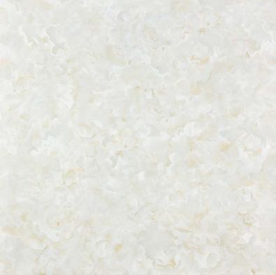 GBPA8716白玉蘭